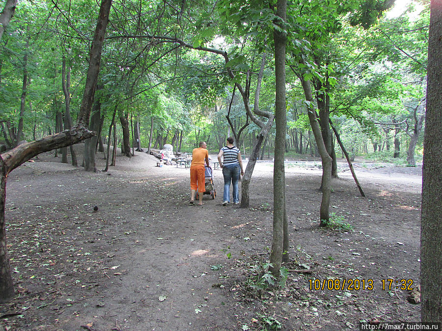 Немного погуляем по лесу Саратов, Россия Немного погуляем по лесу Саратов, Россия