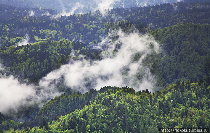 Засип — окрестности Бледа Юлийские Альпы, Словения