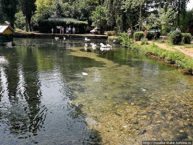 Новоафонский парк Новый Афон, Абхазия