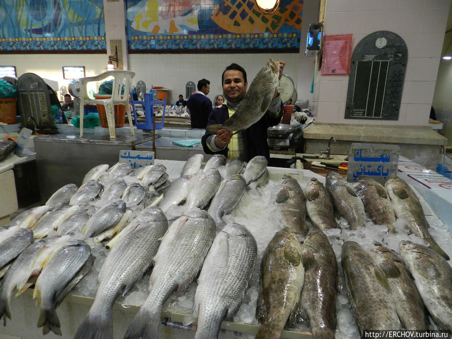 Рыбный рынок Эль Кувейт, Кувейт