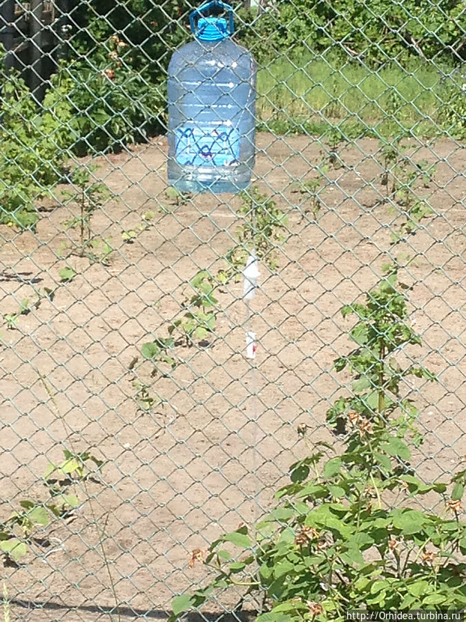 Медработников Медработников