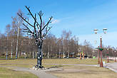 Дерево желаний, подаренное шведским городом-побратимом Умео