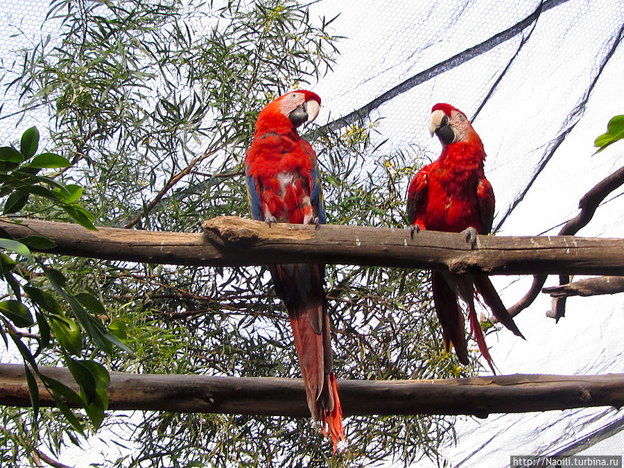 Вот так то лучше, моя прелесть! Мехико, Мексика Вот так то лучше, моя прелесть! Мехико, Мексика