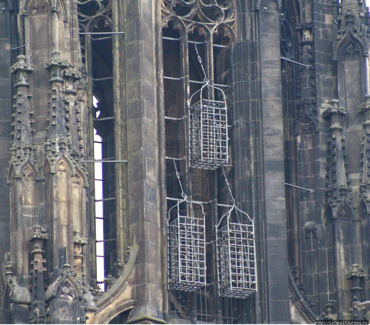 Церковь Св. Ламберта, башня с клетками Мюнстер, Германия