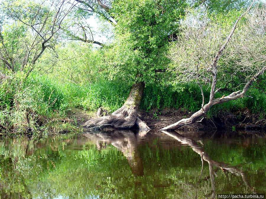 Беларусь фрагменты и зарисовки матушки природы Борисов, Беларусь Беларусь фрагменты и зарисовки матушки природы Борисов, Беларусь