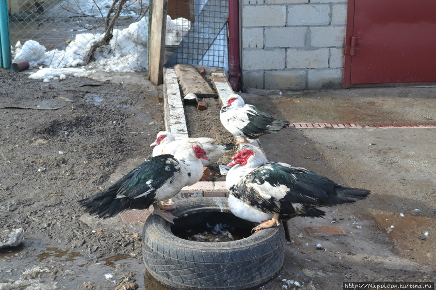 Прикрасы рязанского района Рязань, Россия