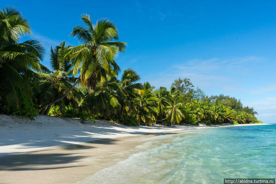 Дерош, еще один коралловый остров на Сейшелах Остров Дерош, Сейшельские острова