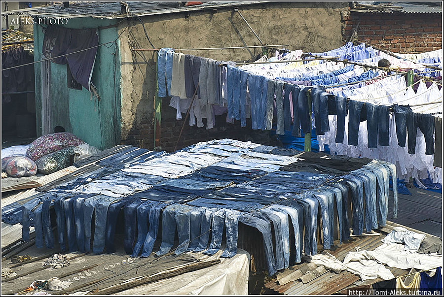 Очень хочется, глядя на такую картину задать вопрос, а как потом разобраться, где чьи джинсы. Но, оказывается, в прачечной применяется своя система меток...
* Мумбаи, Индия