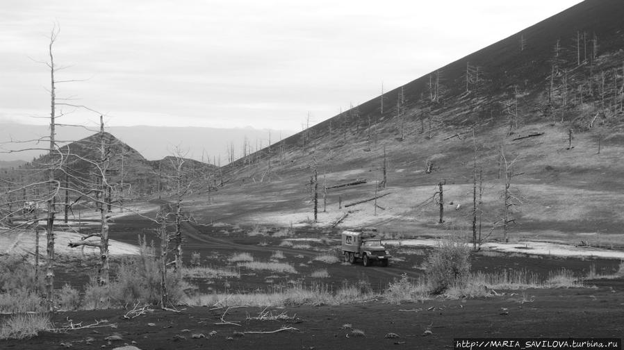 последствия извержения Толбачика 70-х годов Камчатский край, Россия