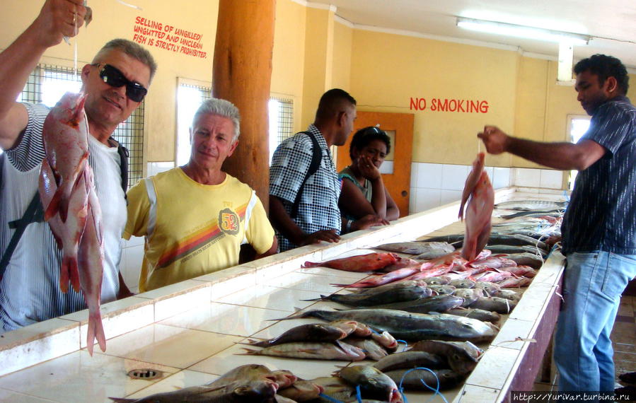 На рыбном рынке города Нади можно проводить экскурсию