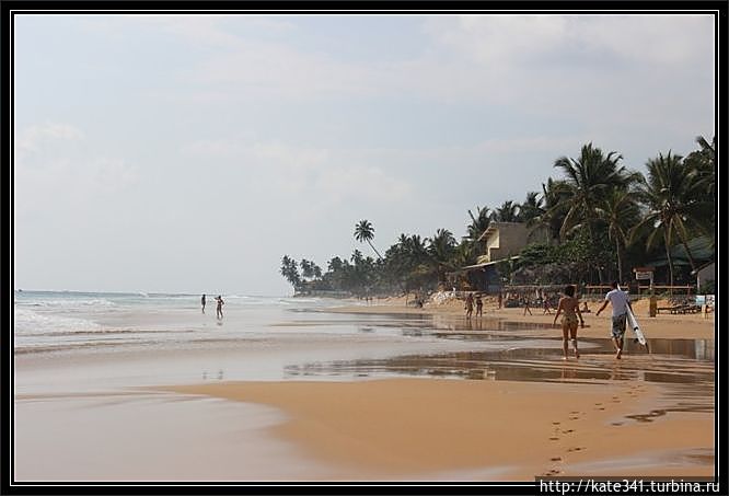 Внеплановое посещение родины чая и улыбок. Хиккадува-пляж Хиккадува, Шри-Ланка Внеплановое посещение родины чая и улыбок. Хиккадува-пляж Хиккадува, Шри-Ланка