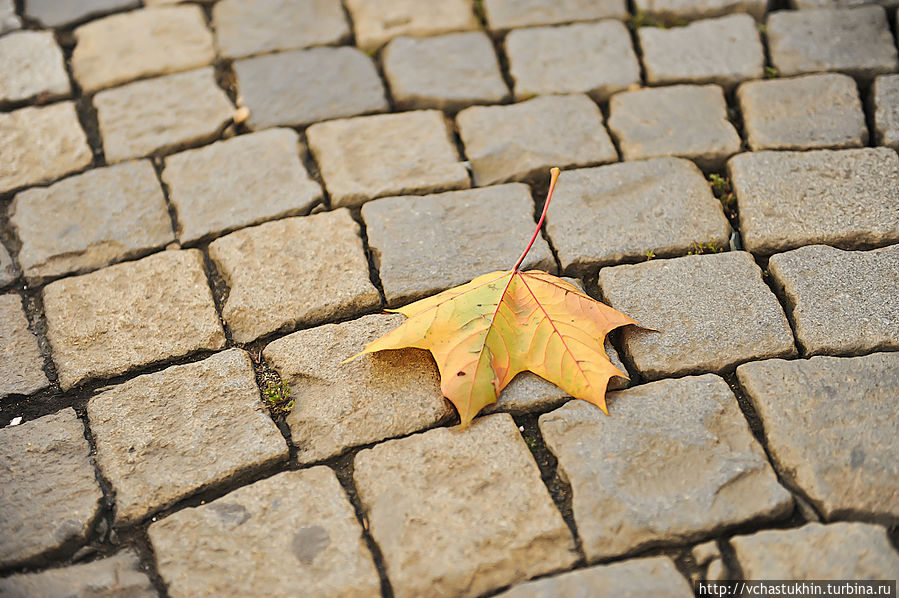 Осень в городе. Осень в городе.