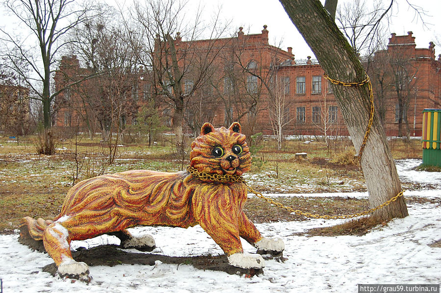 Кот ученый Кот ученый