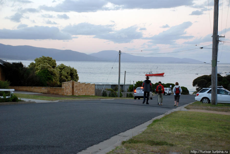 Улочка в Бичено, ведущая к морю Штат Тасмания, Австралия