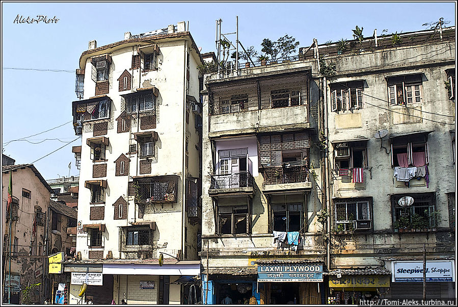 Опять — скворечники...
* Опять — скворечники...
*