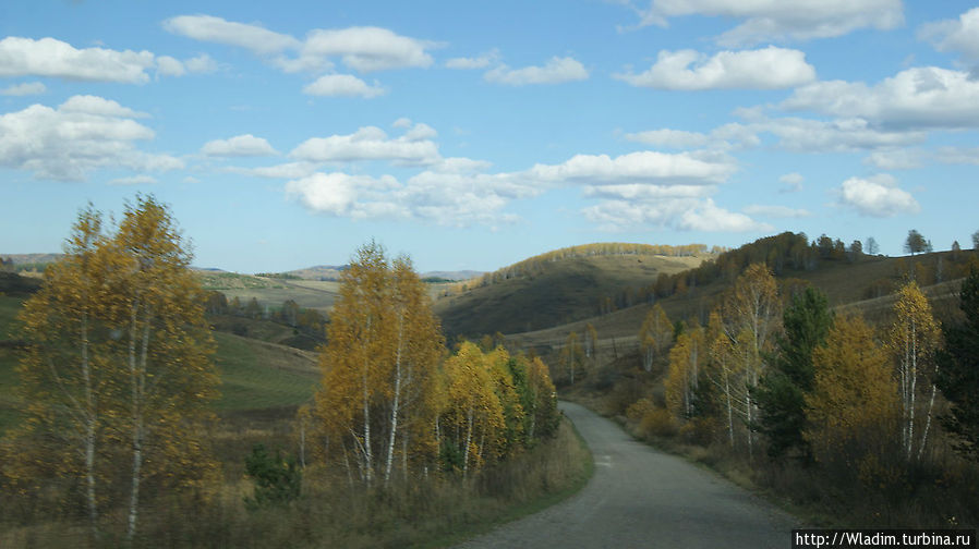 По дороге на маральник Алтайское, Россия