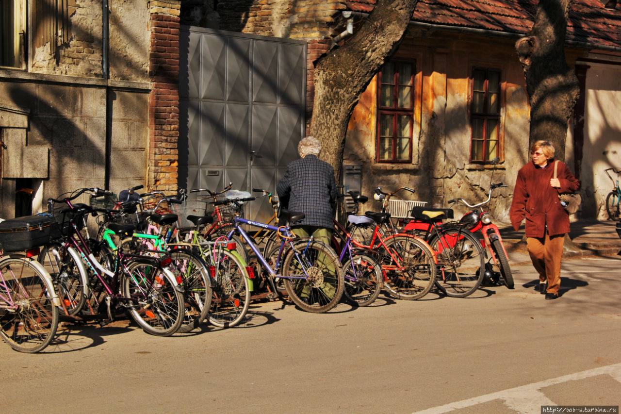 Суботица. Город велосипедистов Суботица, Сербия Суботица. Город велосипедистов Суботица, Сербия