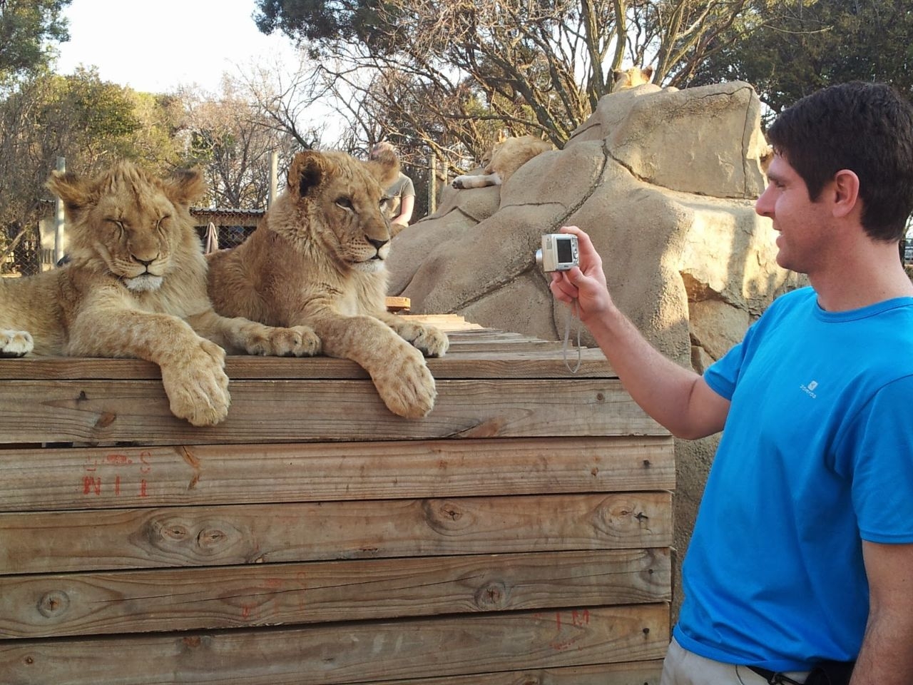 Lion & Safari Park. Из ин
