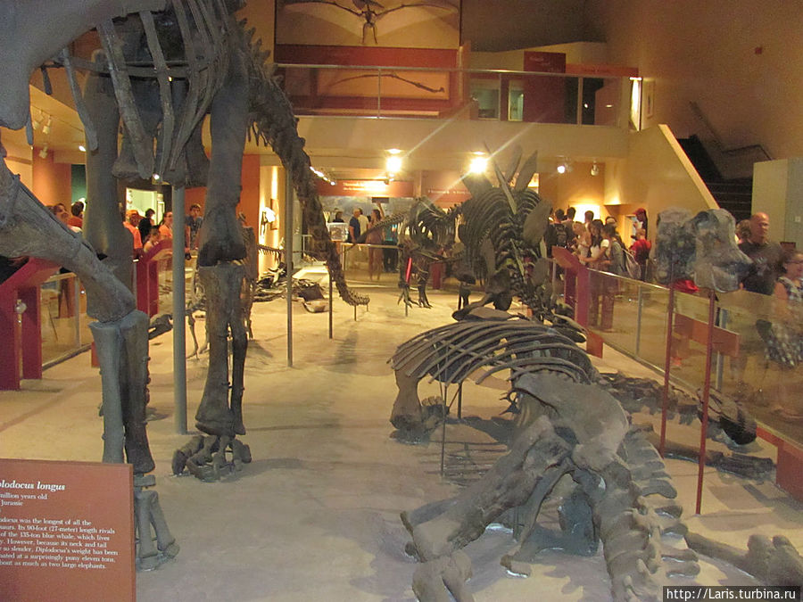 В музее истории реально интересно В музее истории реально интересно