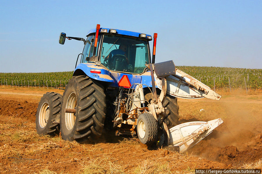 Золотая Амфора 2012 Песчаное, Россия Золотая Амфора 2012 Песчаное, Россия