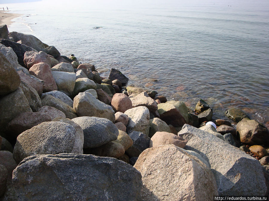 Светлогорск Светлогорск