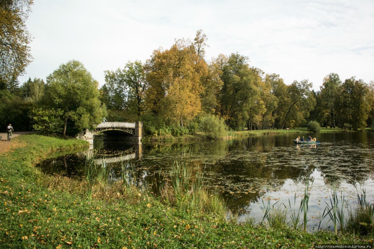 Павловская осень Павловск, Россия