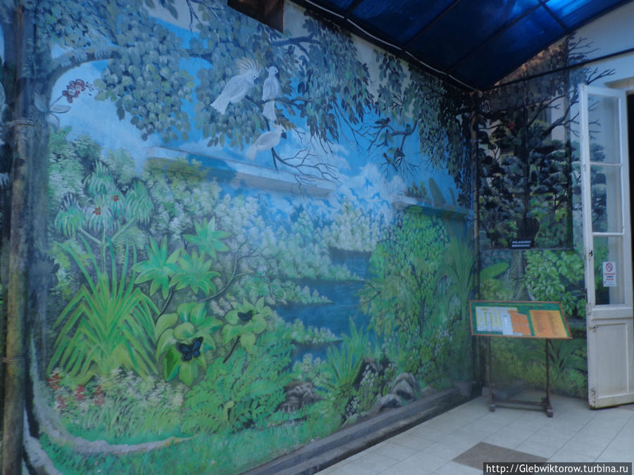 Зоомузей  в г.Богор Богор, Индонезия