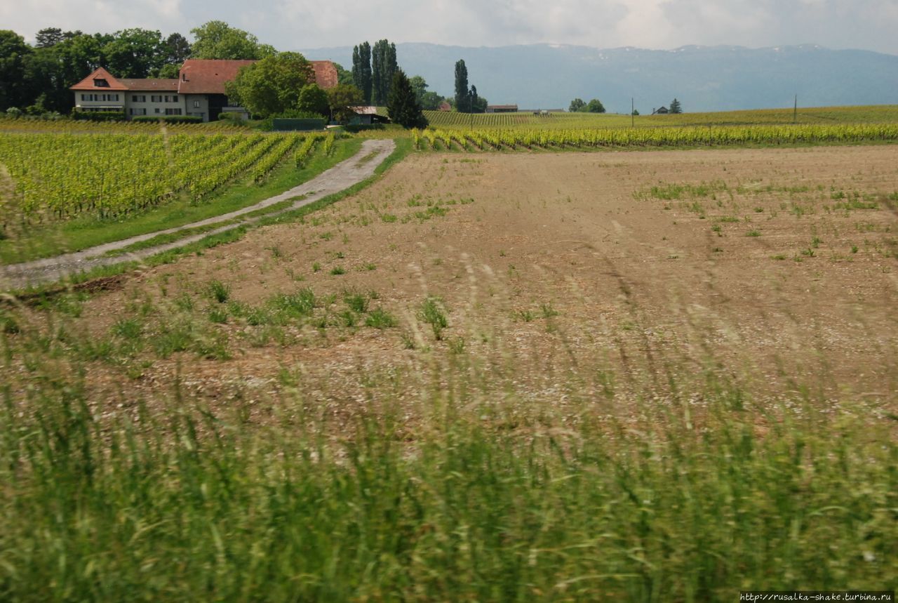 Женевский винный маршрут Дарданьи, Швейцария