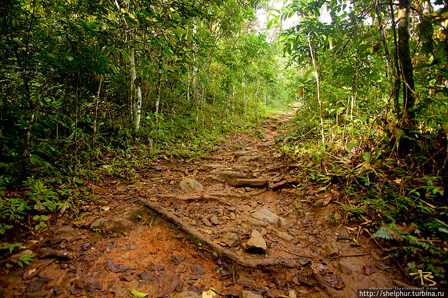 Куба. Хана-Банилла. Часть 19 Куба Куба. Хана-Банилла. Часть 19 Куба