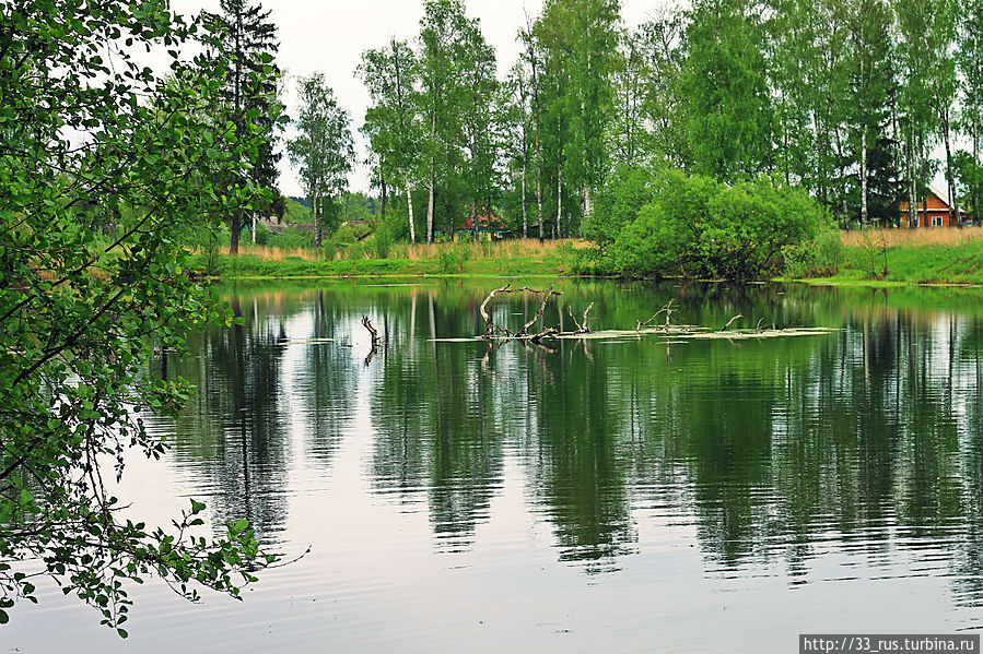 пруд Муромцево, Россия