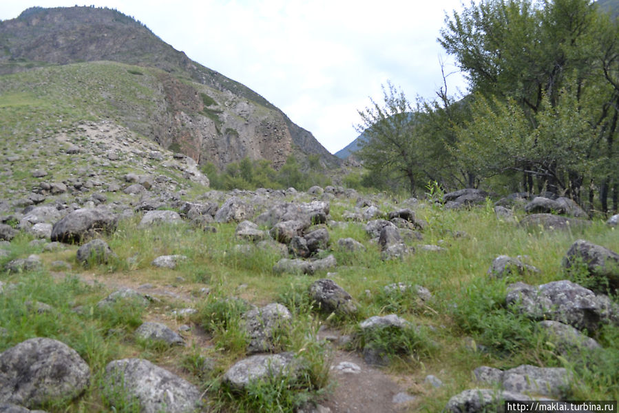 По грибы — в урочище Ак-Корум Республика Алтай, Россия По грибы — в урочище Ак-Корум Республика Алтай, Россия