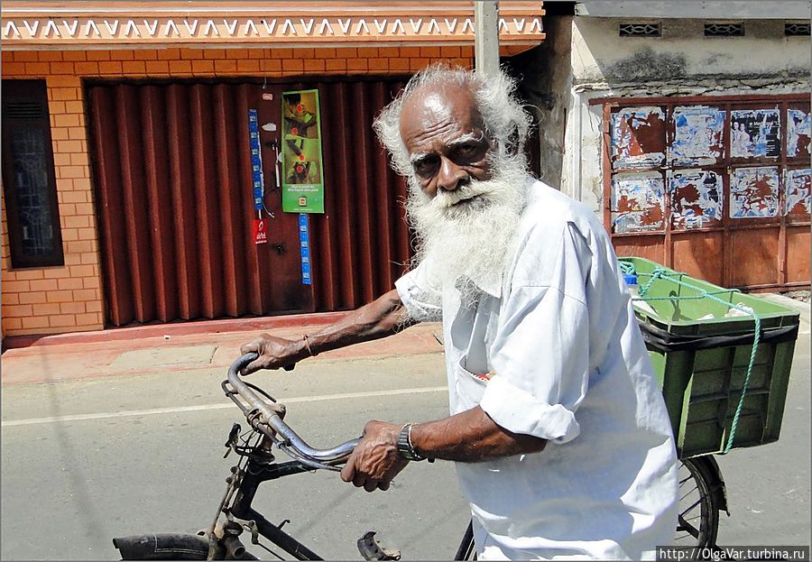 Тамильский  дедушка напомнил мне нашего Деда Мороза — с такой же окладистой белой бородой Восточная провинция, Шри-Ланка