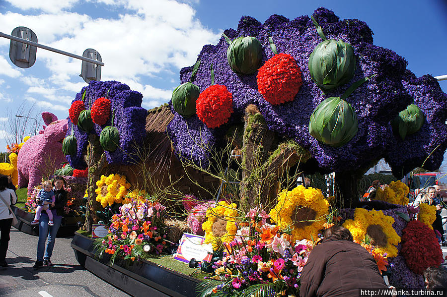 Bloemencorso Bollenstreek — парад цветов Провинция Южная Голландия, Нидерланды