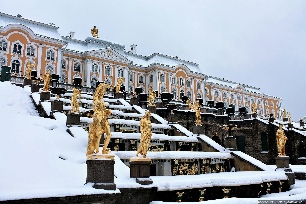 санкт петербург петергоф зимой