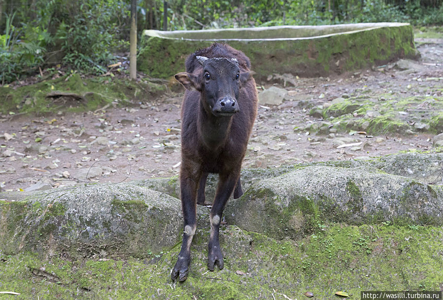 Про меня не забыли?! Про меня не забыли?!