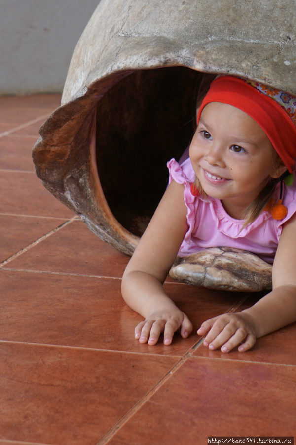 Эквадор с трехлеткой. Часть 3. Галапагосы/Санта-Круз Остров Санта-Крус, Эквадор