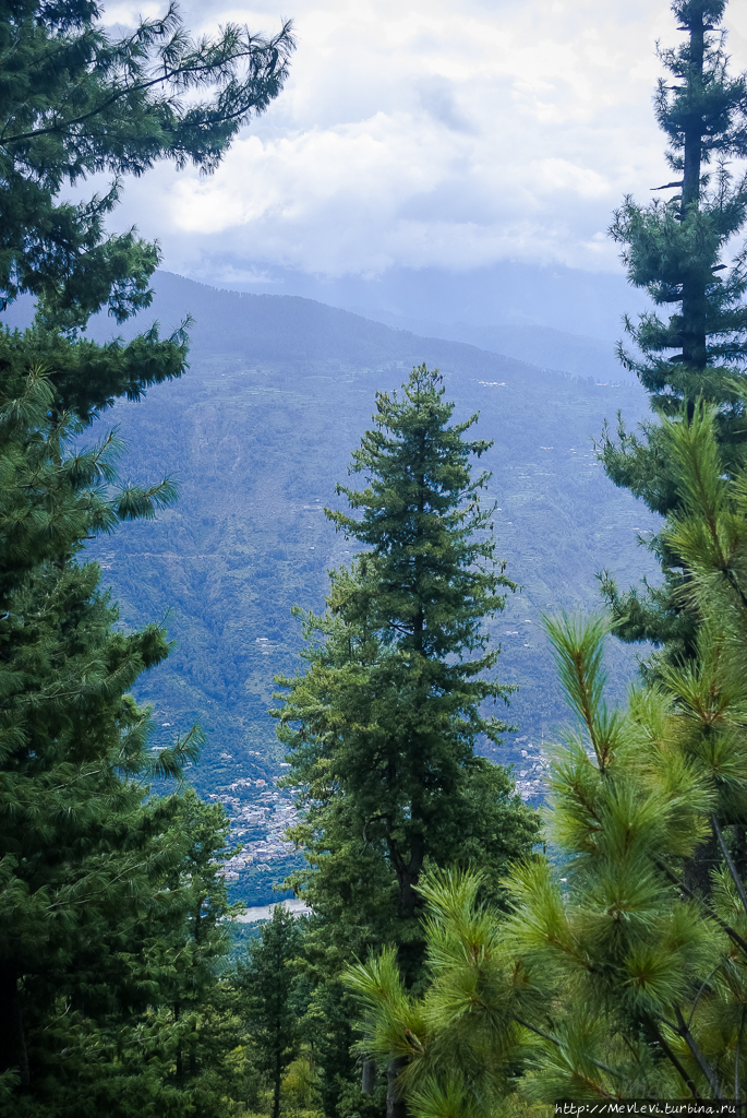 Восхождение к Храму Штат Химачал-Прадеш, Индия Восхождение к Храму Штат Химачал-Прадеш, Индия