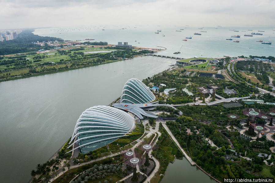Оранжереи парка, похожие на большие раковины Сингапур (город-государство)