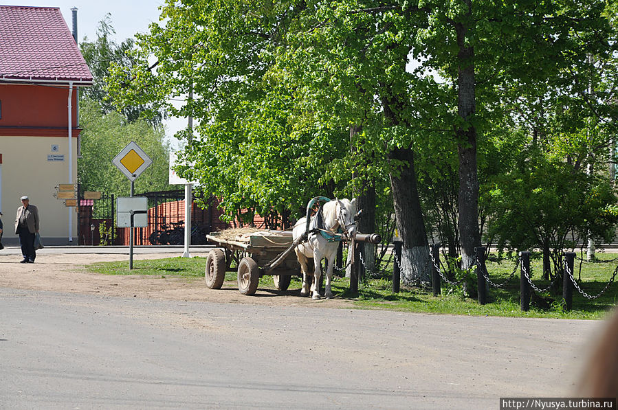 Вятское, майская прогулка. Часть 1 Вятское, Россия