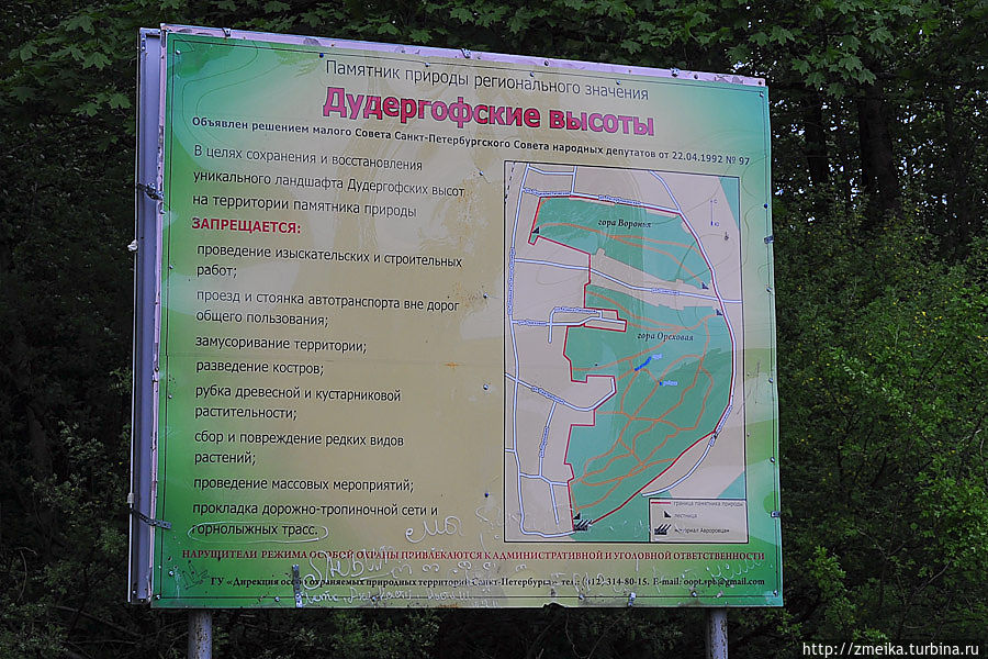 Схема и правила поведения. Схема и правила поведения.