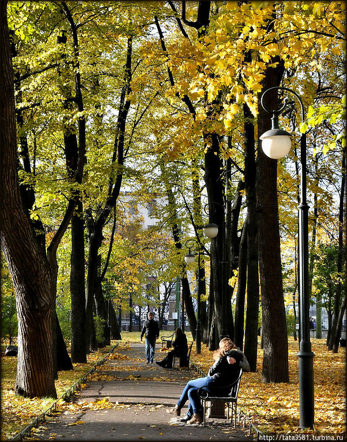 Осенний Михайловский сад Санкт-Петербург, Россия