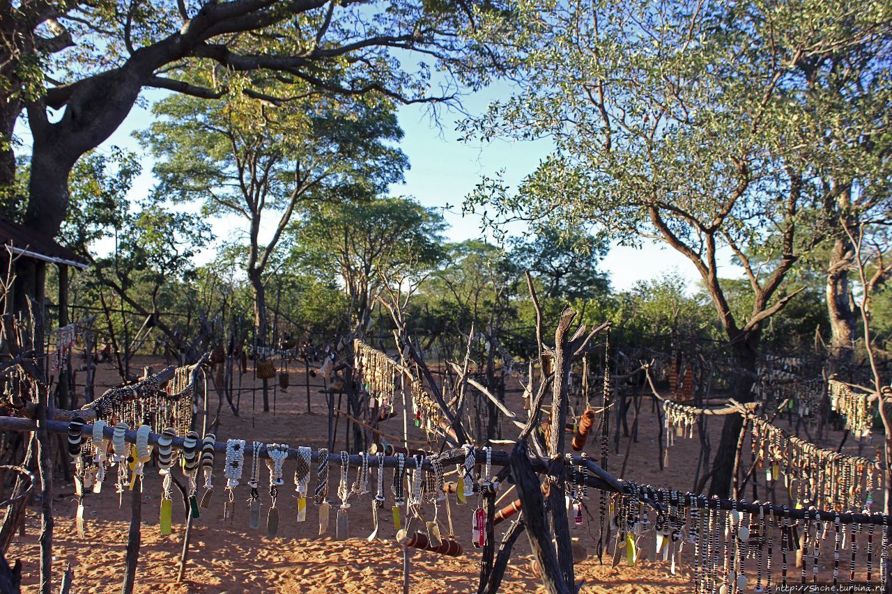 Живой музей Ю/'Хоанси-Сан Грашоек, Намибия Живой музей Ю/'Хоанси-Сан Грашоек, Намибия