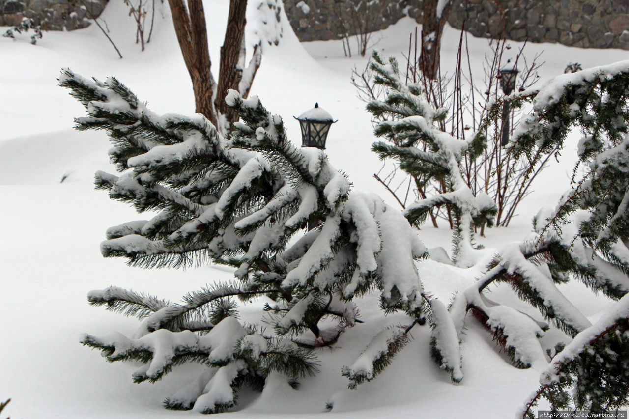 Намело сугробы белые Харьковская область, Украина Намело сугробы белые Харьковская область, Украина