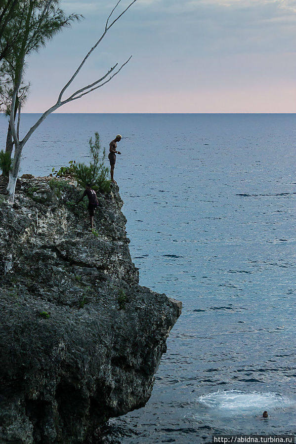 Сейчас он спрыгнет вниз Сейчас он спрыгнет вниз