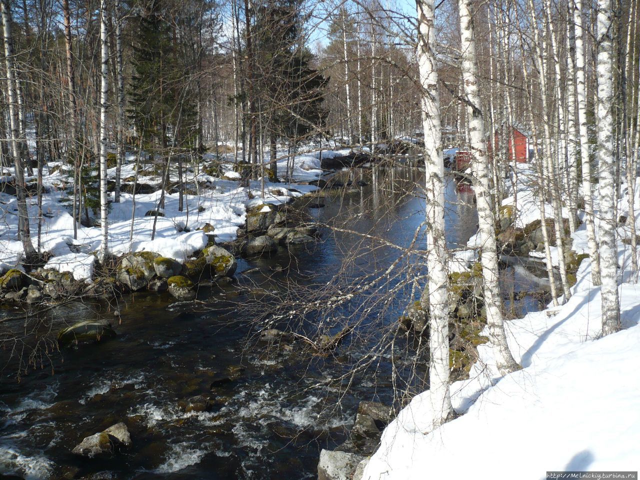 Один день в Национальном парке «Коли» Коли Национальный Парк, Финляндия