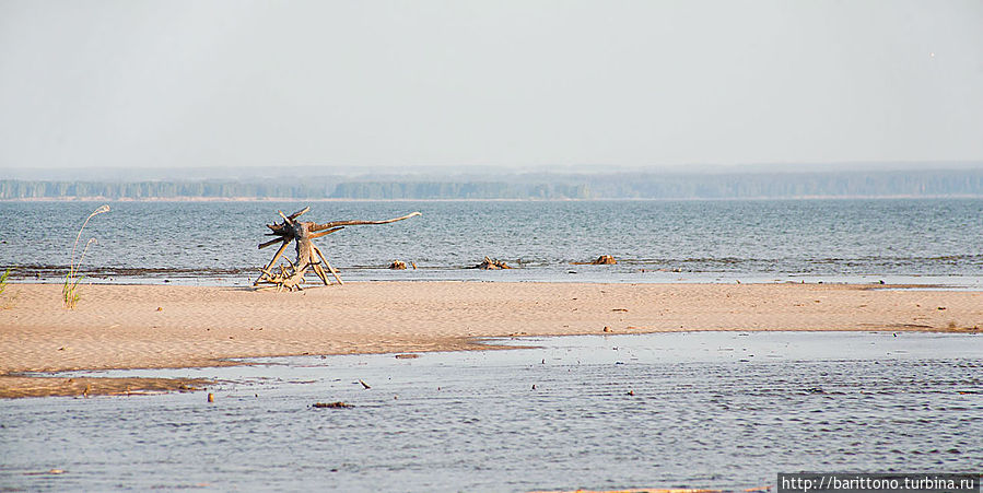 Обское море. Надувнуха с парусом Новосибирская область, Россия