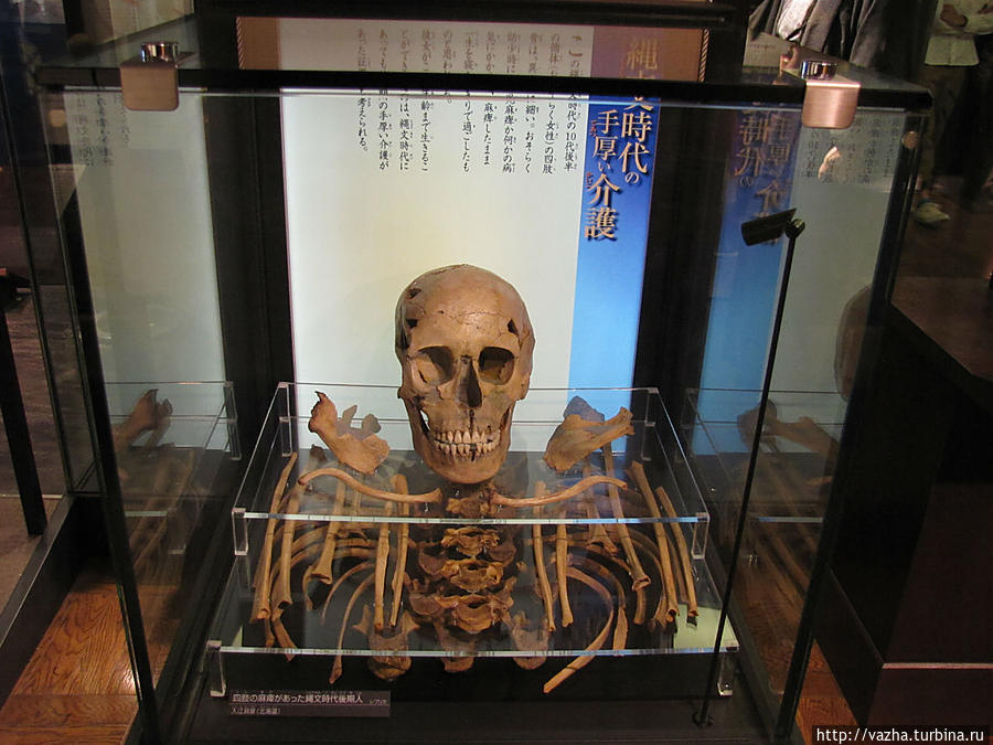 Национальный музей природы и науки. Вторая часть Токио, Япония