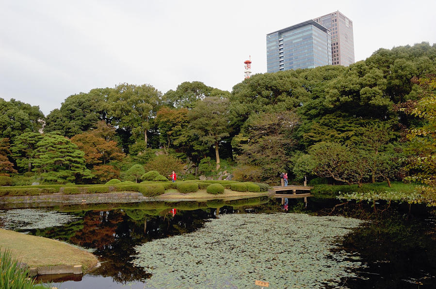В парке императорского дворца Токио, Япония