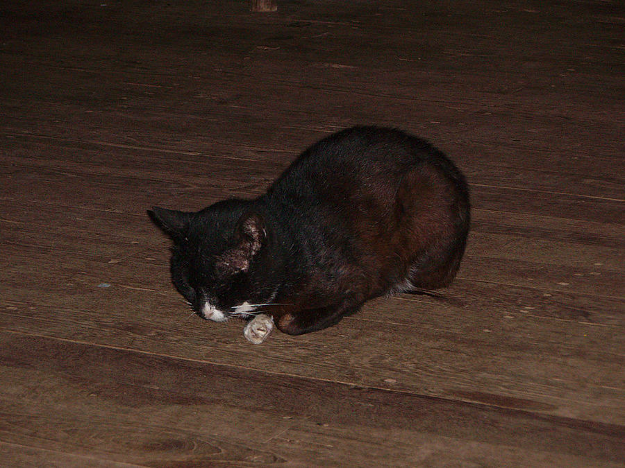 Монастыри озера Инле Озеро Инле, Мьянма Монастыри озера Инле Озеро Инле, Мьянма