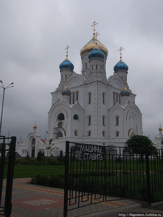 Cathedral of Our Lady of Vladimir Лиски, Россия